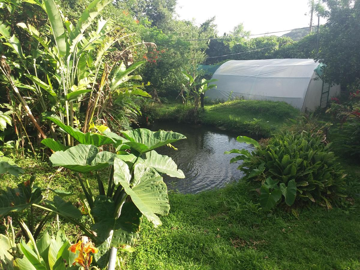 Lodge Rancho De Lelo Ecolodge&sustainable Farm *