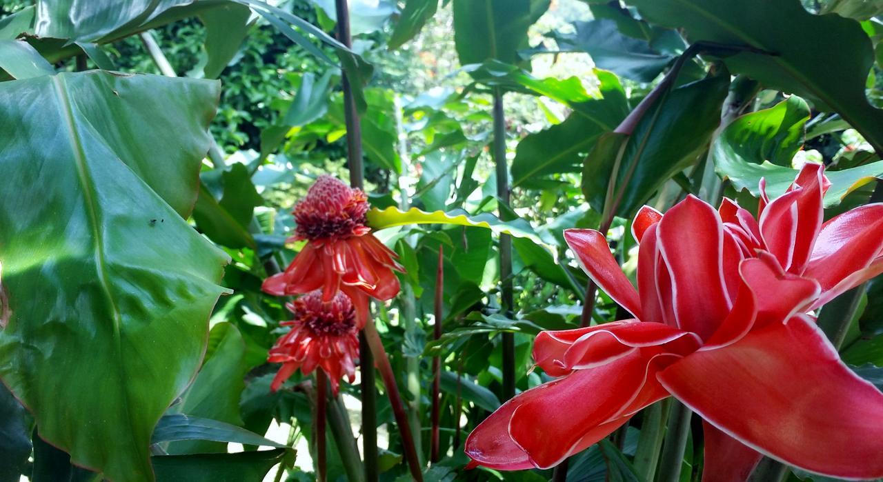 Rancho De Lelo Ecolodge&sustainable Farm Lodge